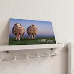Dünenzauber - Neues Mit Sauna In Strandnähe * Tossens